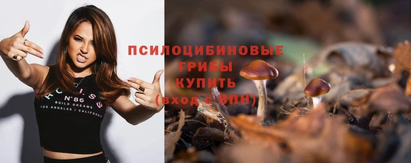 apvp Заволжье