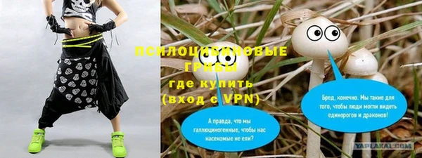 apvp Заволжье