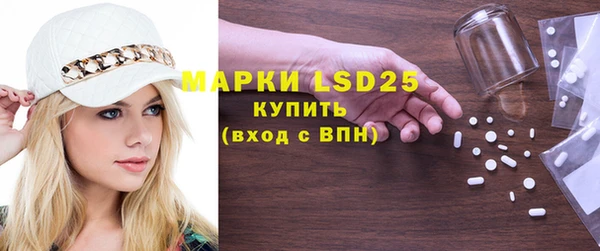 стаф Дубна