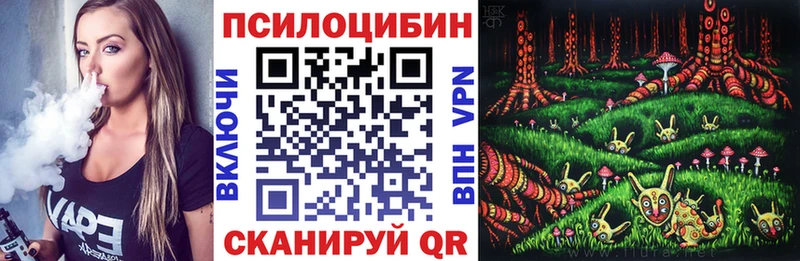 Псилоцибиновые грибы Psilocybe Ишимбай