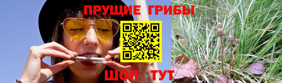 Галлюциногенные грибы Cubensis Ишимбай